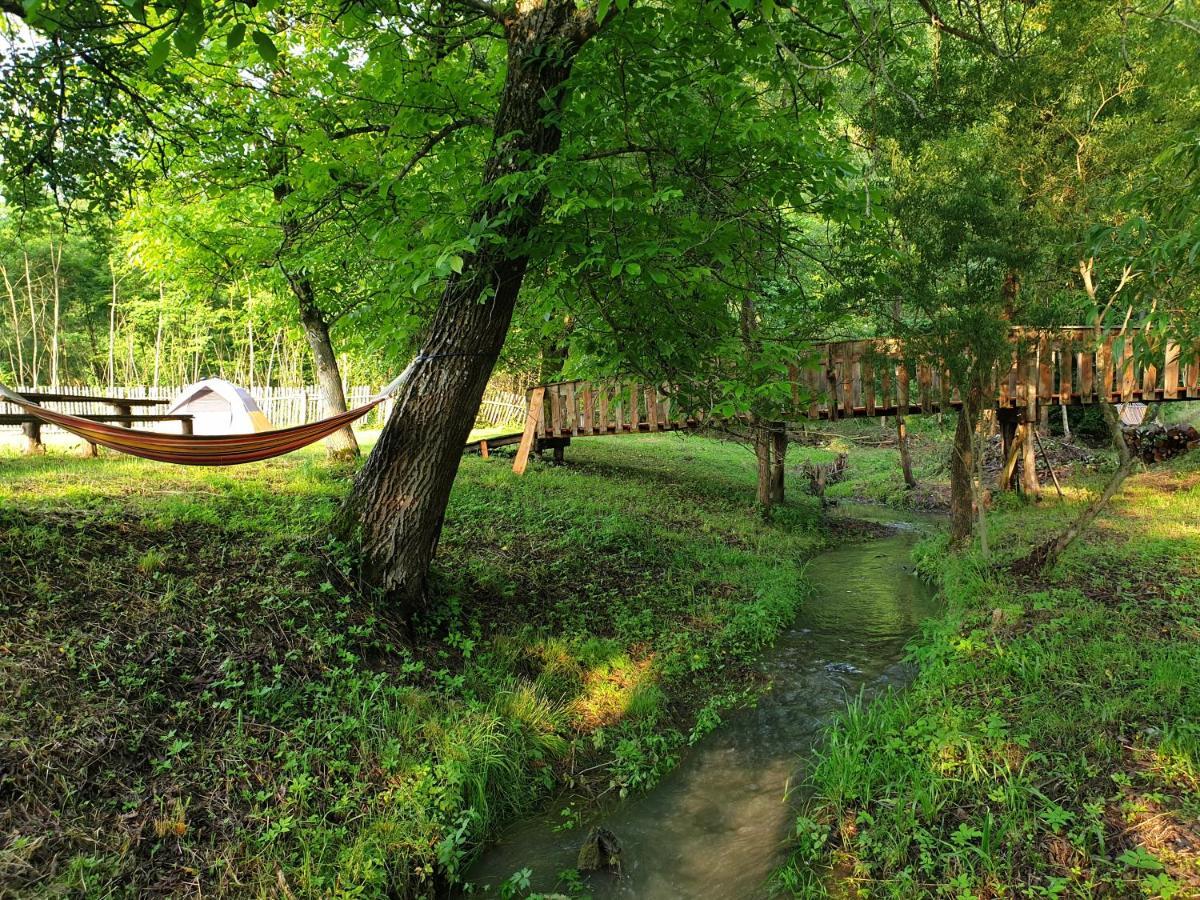 Casutele Din Grosi Otel Grosi  Dış mekan fotoğraf
